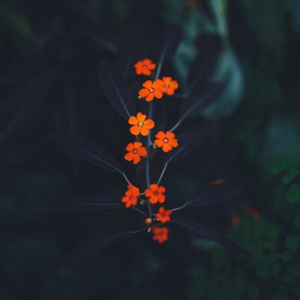 裸男男同大学生xnxx
